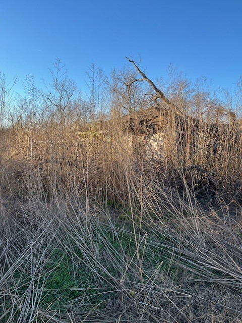 7115 Dallas Street Baytown, TX 77521 - Photo 6 of 8 a view of a dry yard with trees in the background