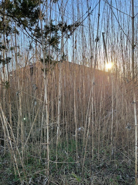 7115 Dallas Street Baytown, TX 77521 - Photo 8 of 8 a view of outdoor space with a wooden fence