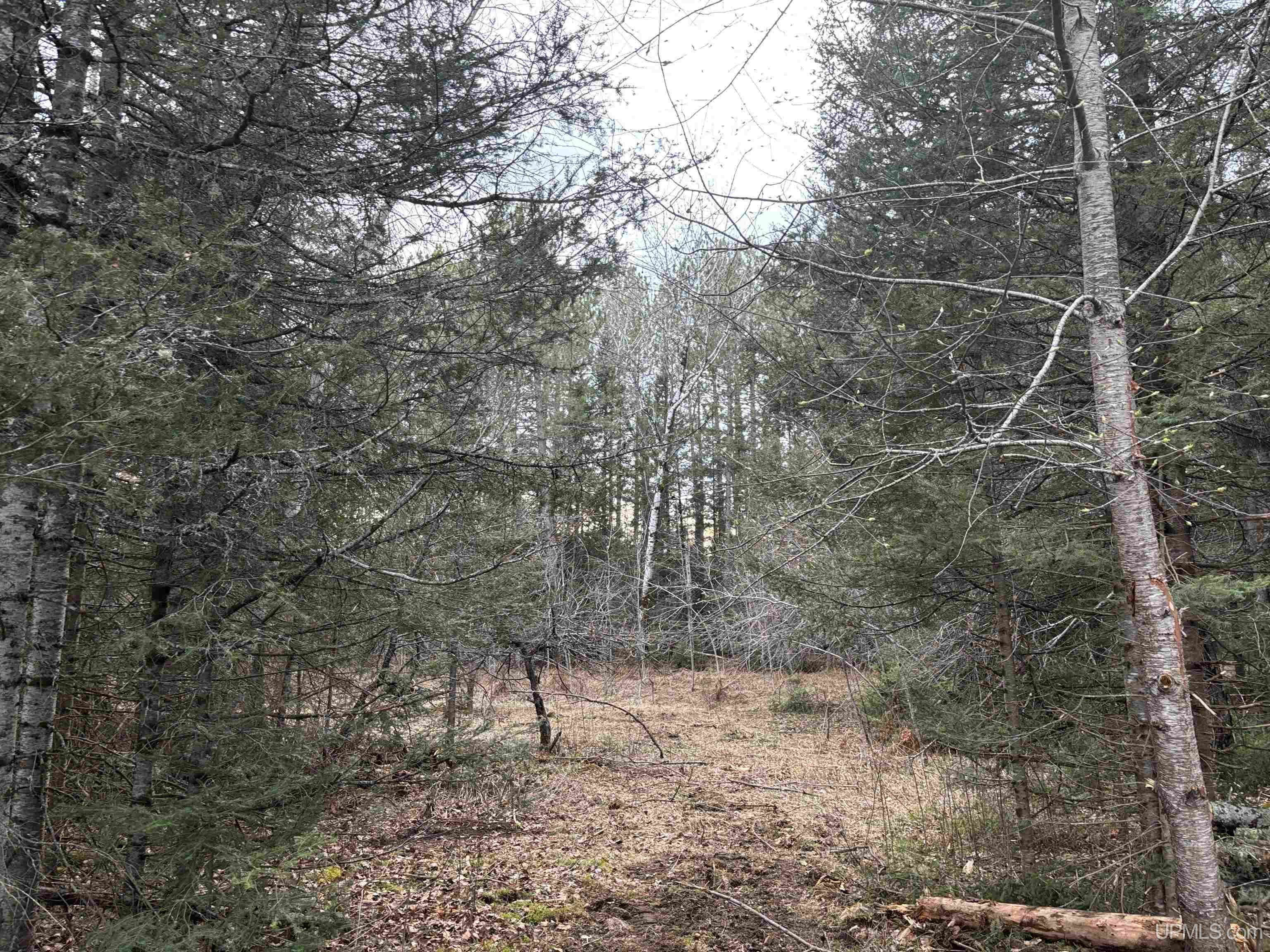 4480 W Sand Rock Road Hurley, WI 54534 - Photo 5 of 57
