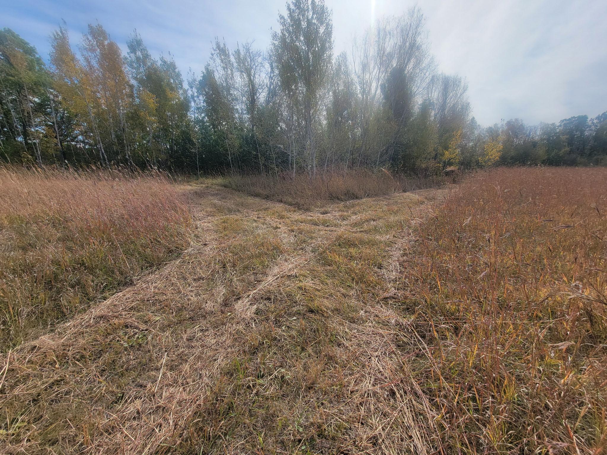25820 County Road 26 Sebeka, MN 56477 - Photo 81 of 103