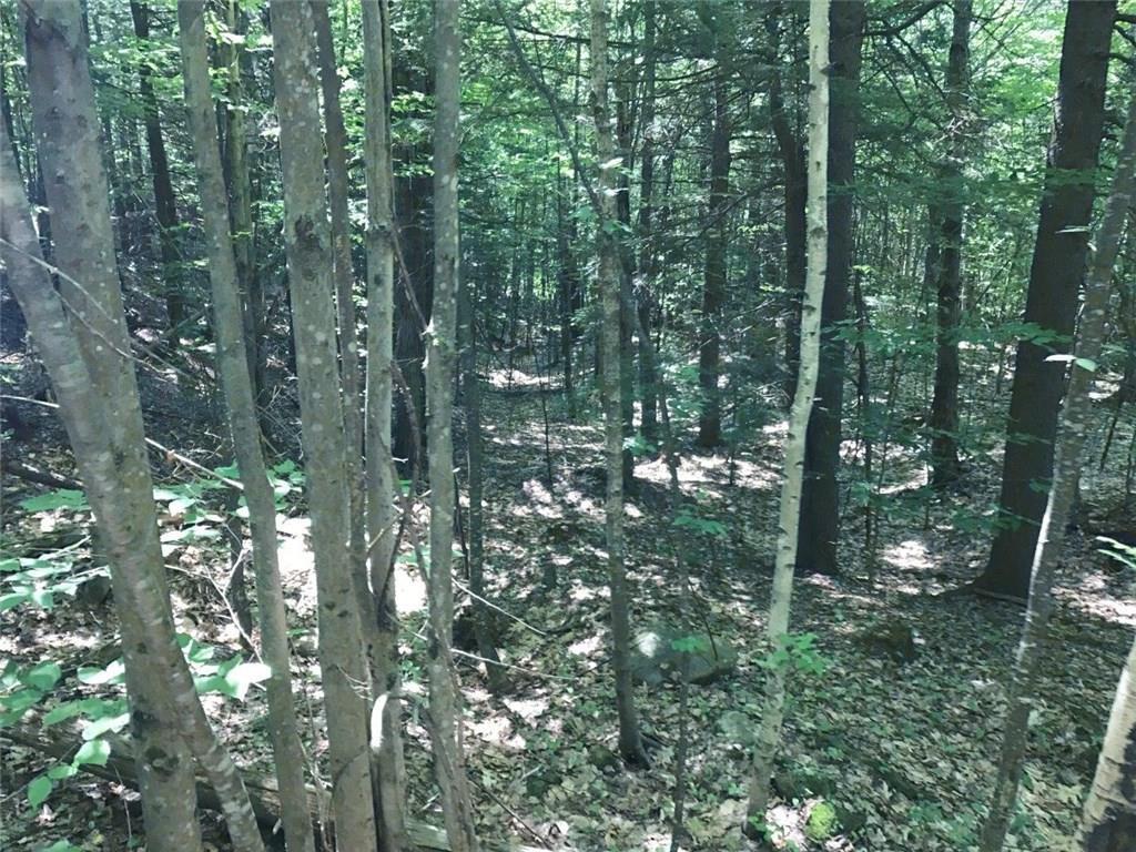 0 Orchard Road Acton, ME 04001 - Photo 5 of 5 Photo