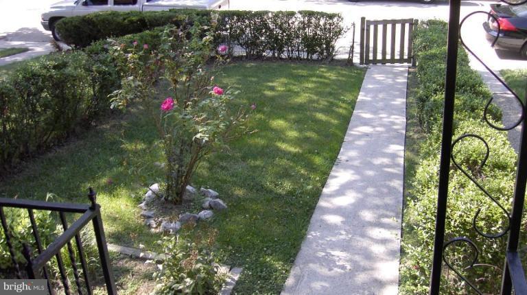Front Yard View From Front Porch