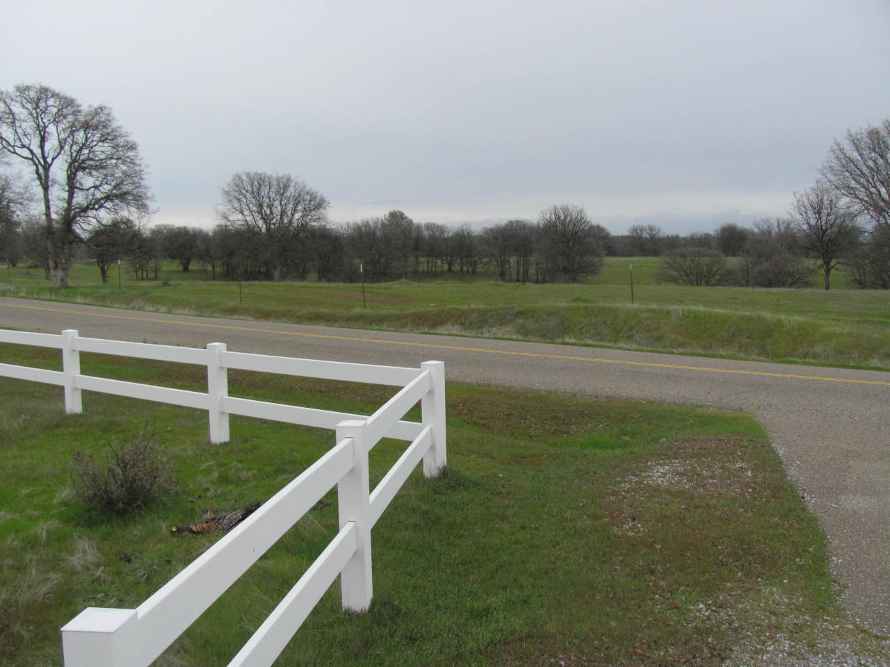 13885 Gas Point Road Igo, CA 96047 - Photo 24 of 28 front driveway view to the east