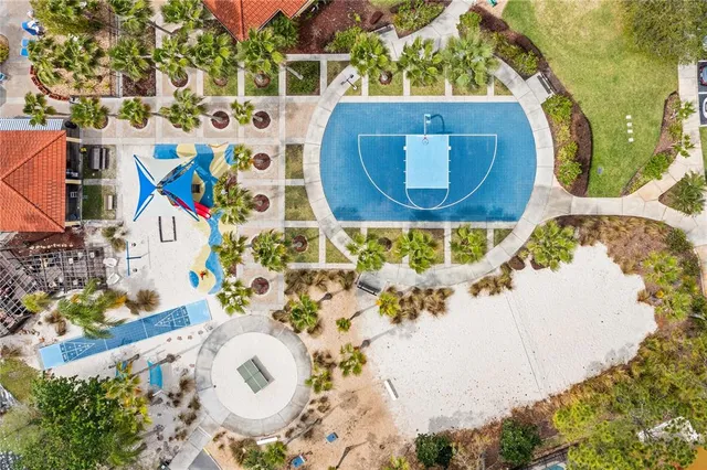 a view of a basket ball with palm trees