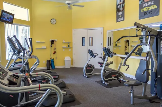 a view of city and ocean