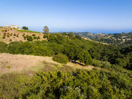 a view of a green field