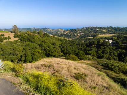 a view of a big yard