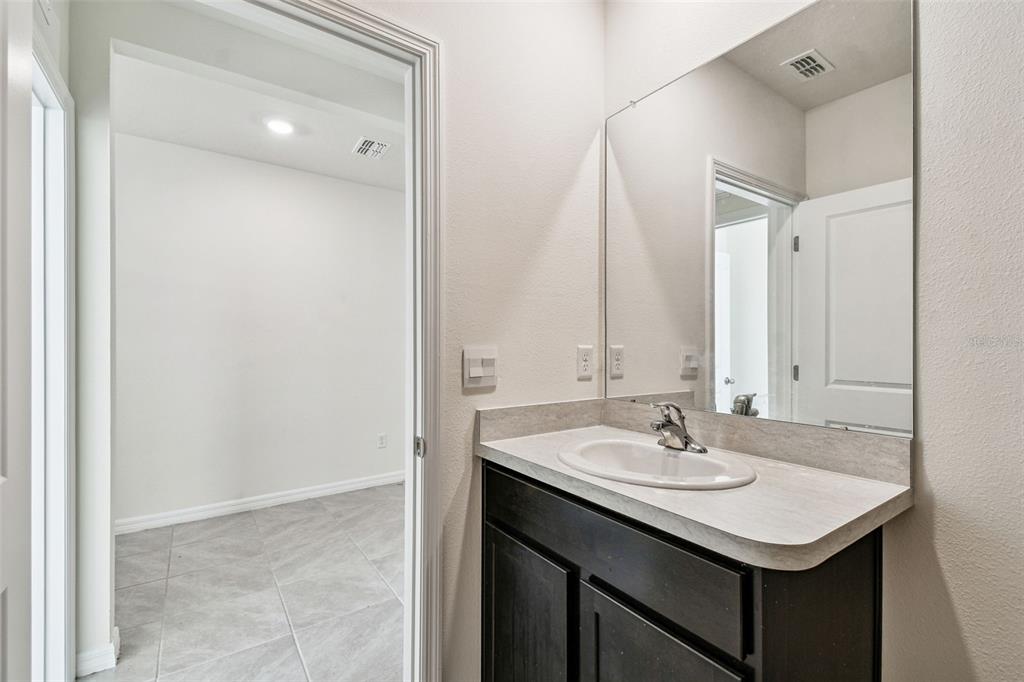 33635 Field Maple Loop Wesley Chapel, FL 33545 - Photo 12 of 35 a bathroom with a sink and a mirror