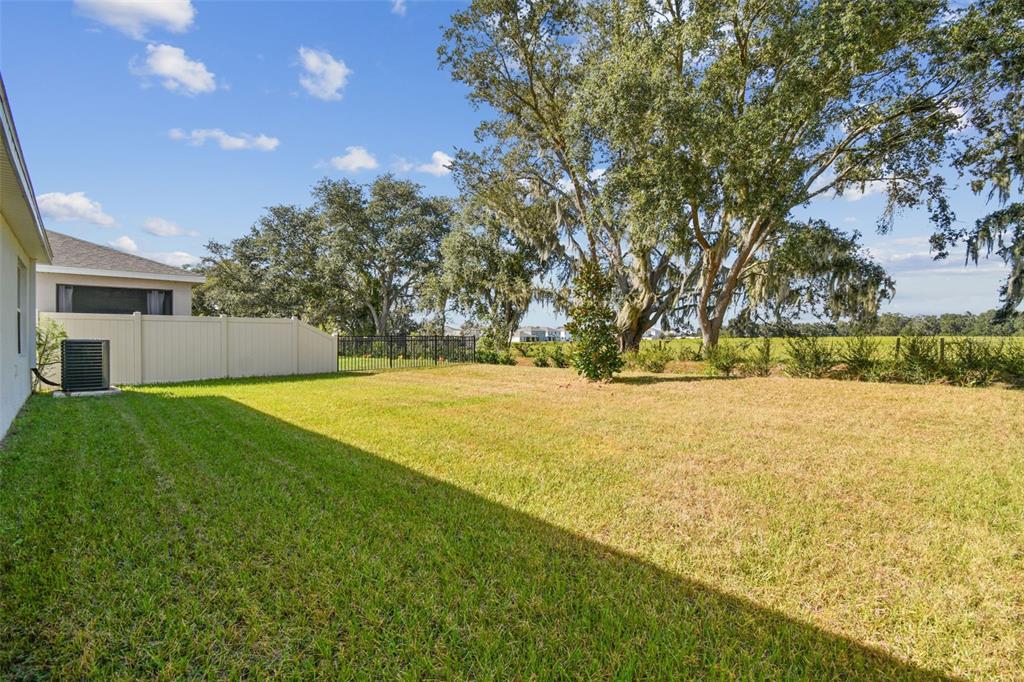 33635 Field Maple Loop Wesley Chapel, FL 33545 - Photo 29 of 35 a view of yard and swimming pool