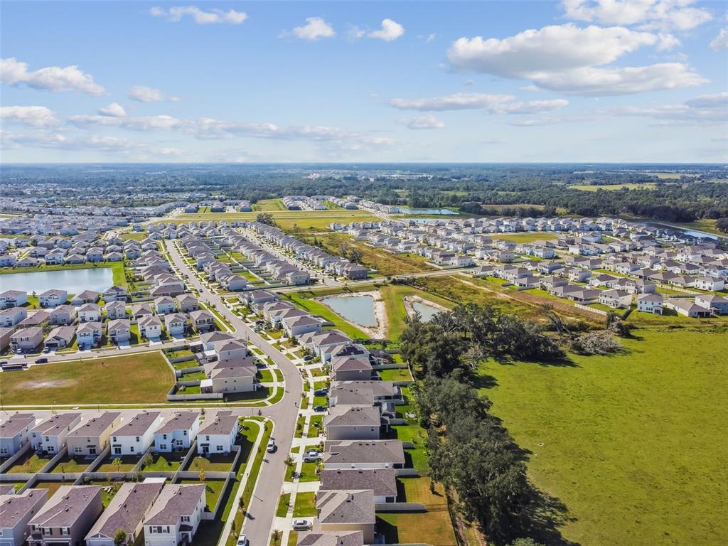 33635 Field Maple Loop Wesley Chapel, FL 33545 - Photo 32 of 35 a view of a city