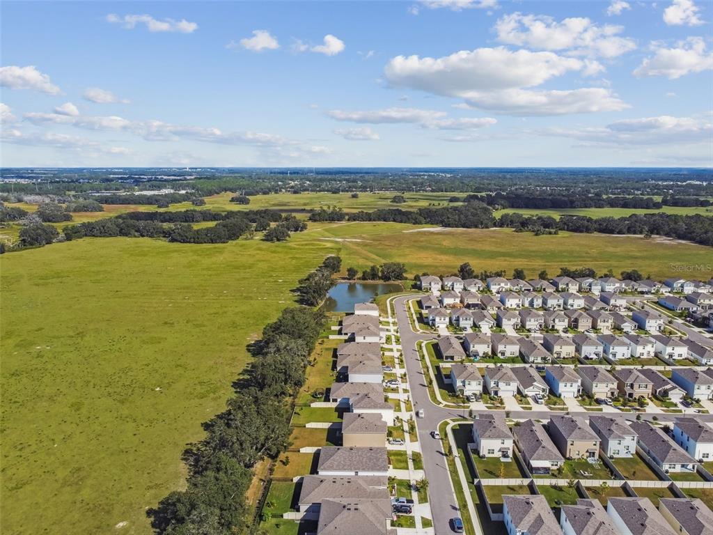 33635 Field Maple Loop Wesley Chapel, FL 33545 - Photo 33 of 35 a view of a city