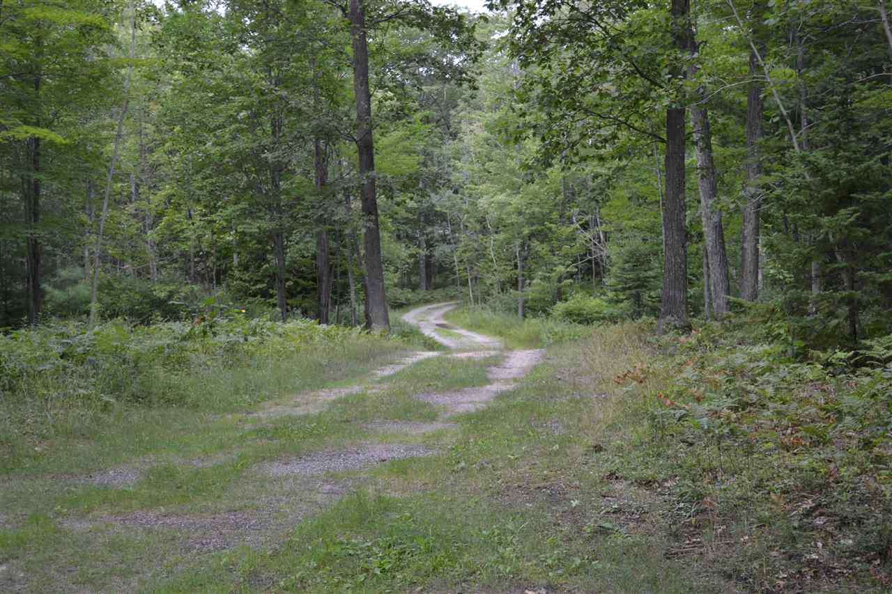 3955 Poor Farm Road Greenbush, MI 48738 - Photo 28 of 33 1836793-27.JPG