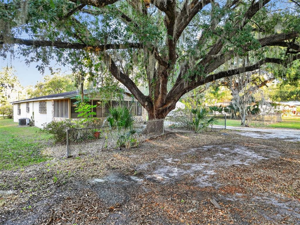 614 Spruce Street Plant City, FL 33563 - Photo 49 of 68 Gallery Image 49