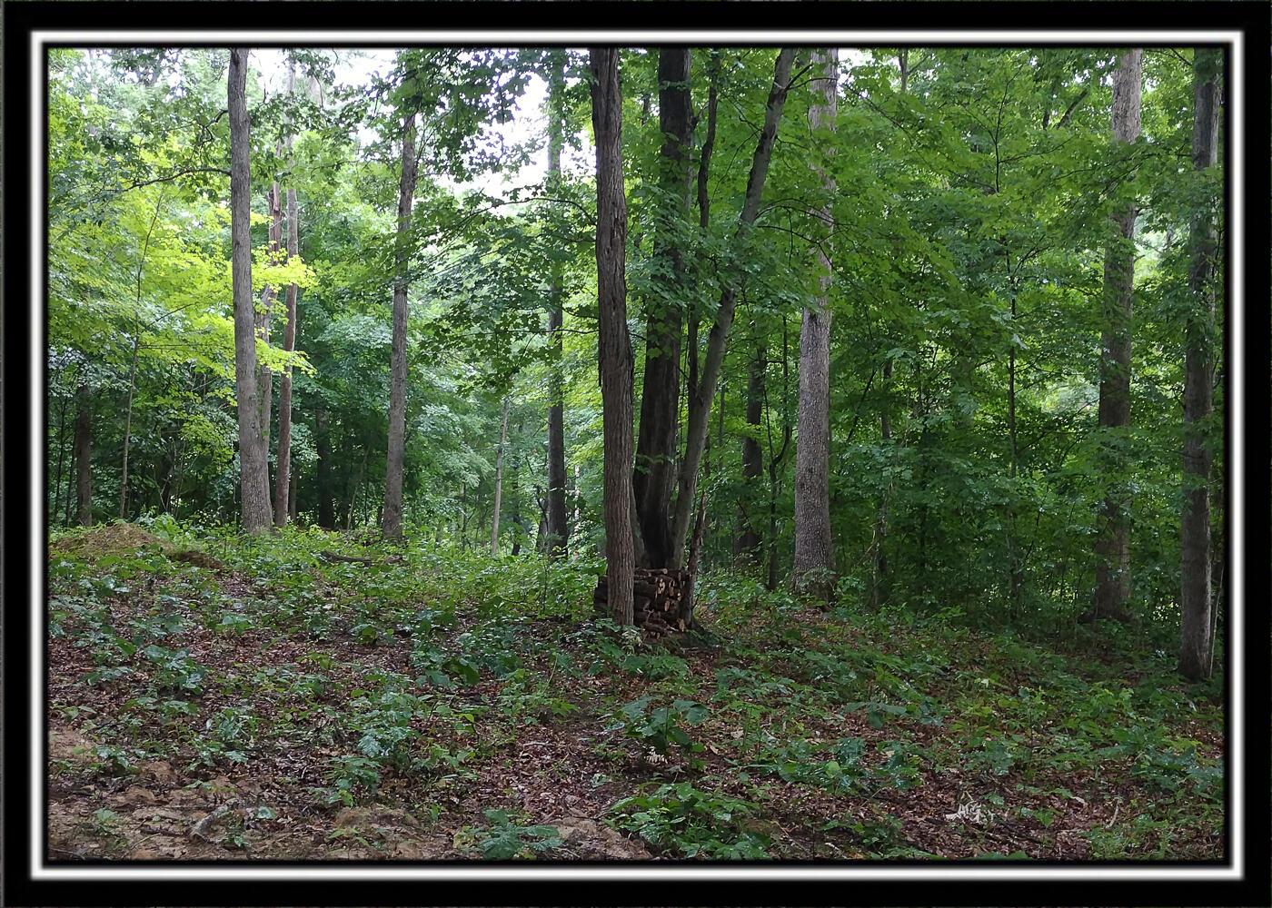 260 Raysville Road Jackson, OH 45640 - Photo 12 of 17 CT-12