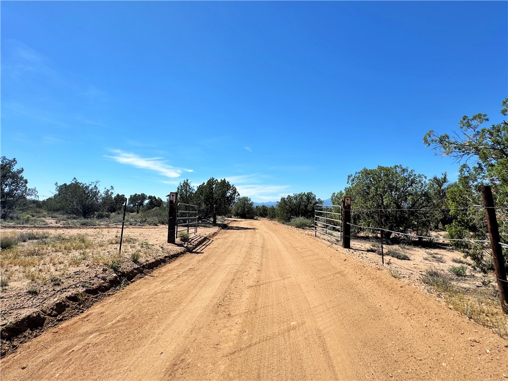 14224 East Randy Ranch Road Kingman, AZ 86401 - Photo 1 of 75 Property entrance featuring a dirt driveway and a metal gate, surrounded by natural desert landscaping and mature trees