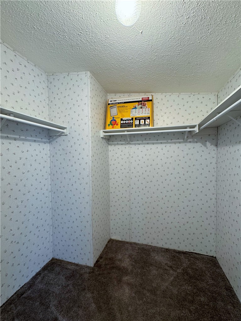 14224 East Randy Ranch Road Kingman, AZ 86401 - Photo 18 of 75 This room features a textured ceiling, a light fixture, carpeted flooring, and wall-mounted shelving