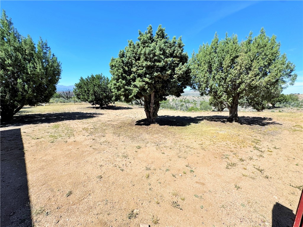 14224 East Randy Ranch Road Kingman, AZ 86401 - Photo 36 of 75 The property features a spacious outdoor area with mature trees and a clear blue sky overhead