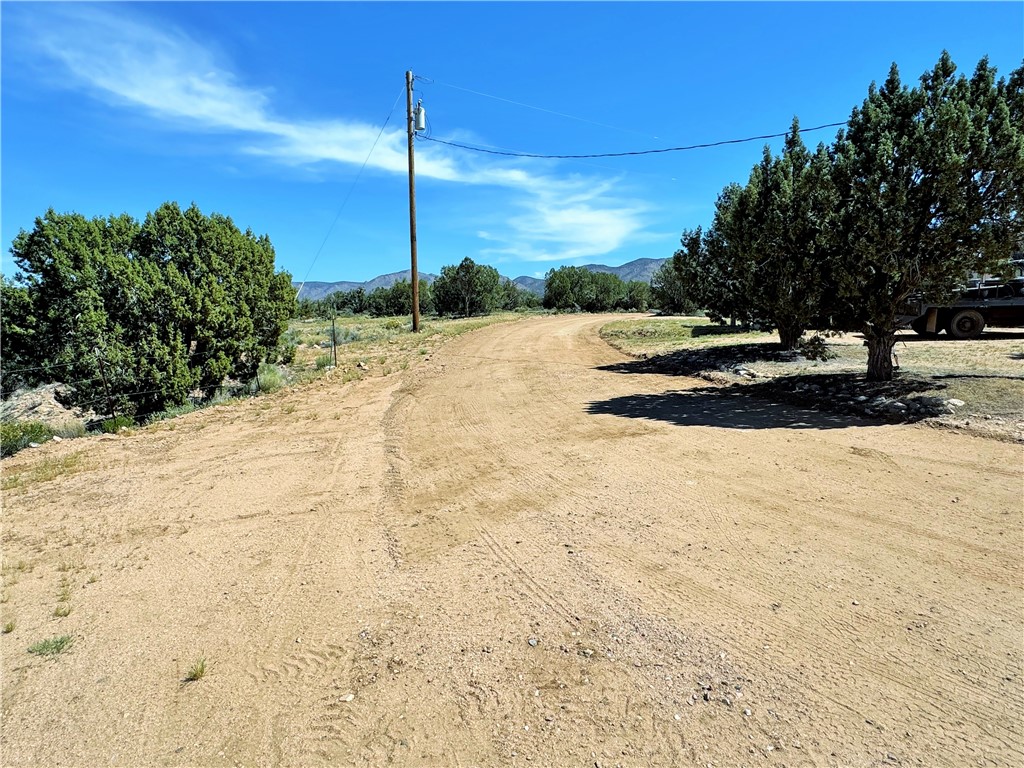 14224 East Randy Ranch Road Kingman, AZ 86401 - Photo 47 of 75 The property features a dirt road and several mature trees, set against a backdrop of distant mountains