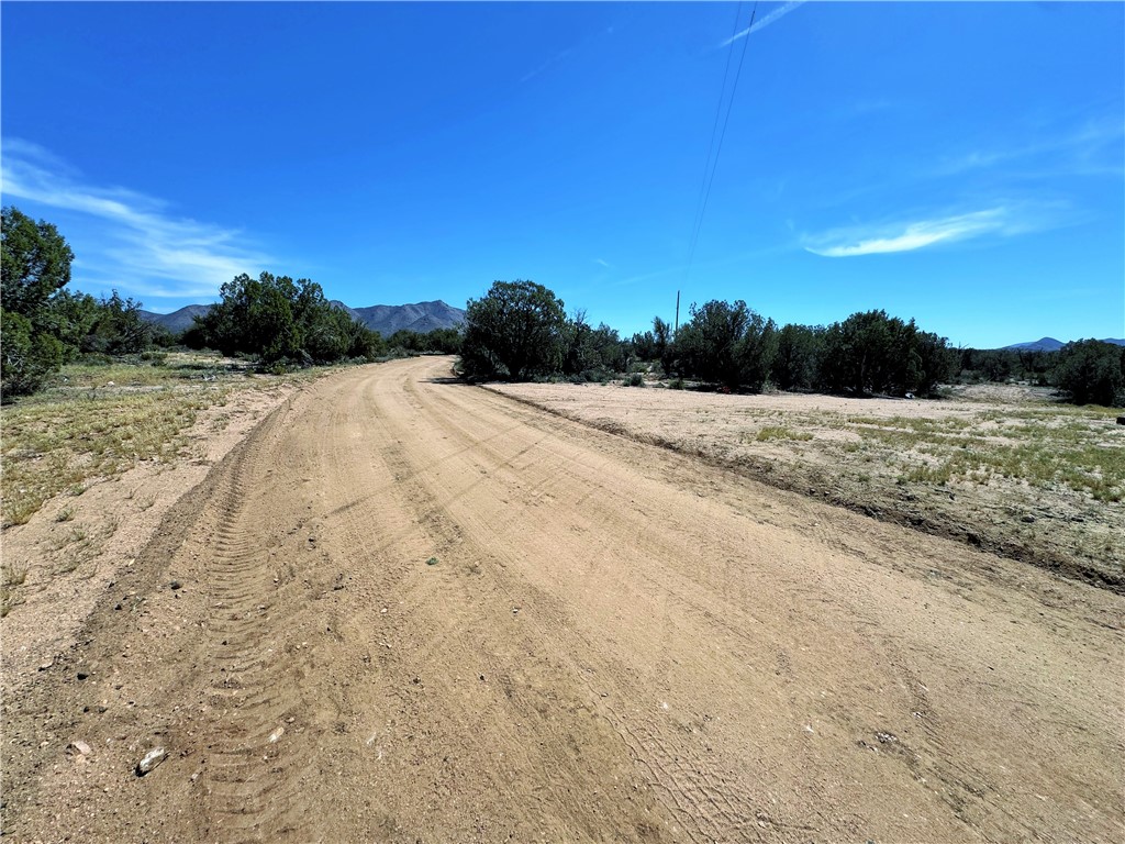 14224 East Randy Ranch Road Kingman, AZ 86401 - Photo 49 of 75 The property features a natural dirt road, surrounded by mature trees and natural vegetation