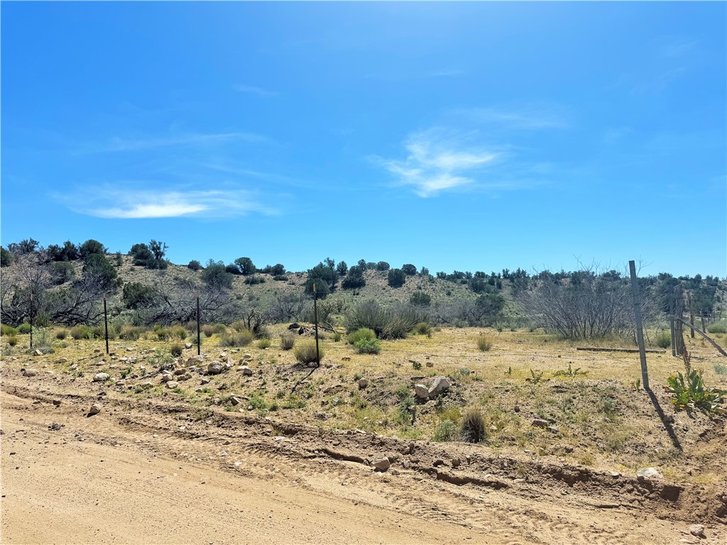 14224 East Randy Ranch Road Kingman, AZ 86401 - Photo 57 of 75 The property offers expansive natural terrain with varied shrubbery and sparse trees, featuring a clear blue sky overhead
