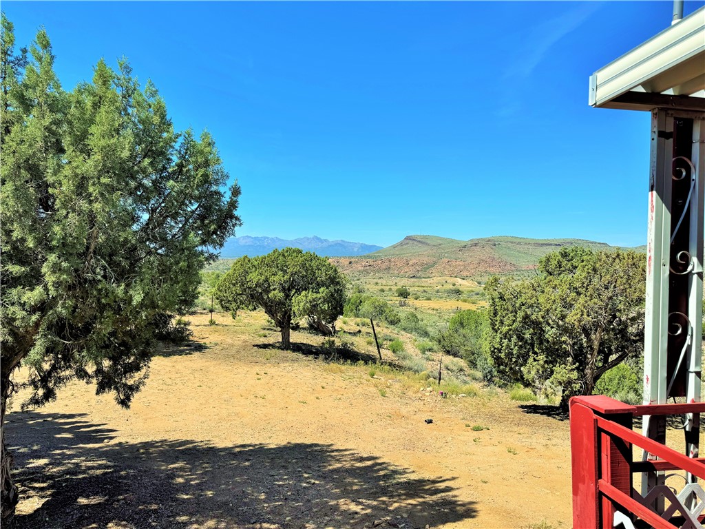 14224 East Randy Ranch Road Kingman, AZ 86401 - Photo 6 of 75 Expansive outdoor space featuring mature trees and distant mountain views