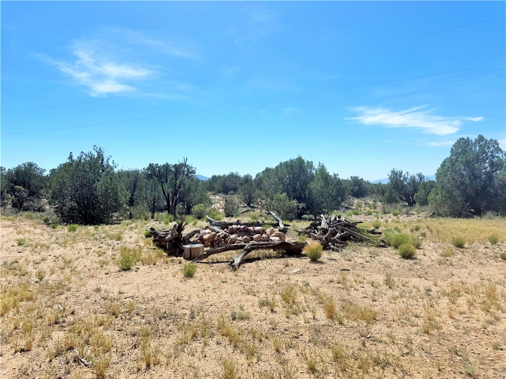 14224 East Randy Ranch Road Kingman, AZ 86401 - Photo 61 of 75 The property features an expansive outdoor space with scattered trees and a clear blue sky overhead