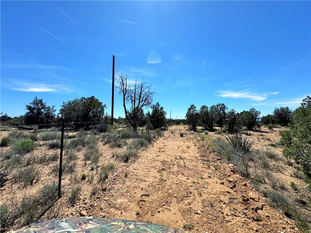 14224 East Randy Ranch Road Kingman, AZ 86401 - Photo 63 of 75 The property features a dirt path, a fence line, and various natural desert vegetation