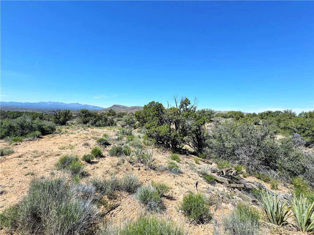 14224 East Randy Ranch Road Kingman, AZ 86401 - Photo 64 of 75 Other