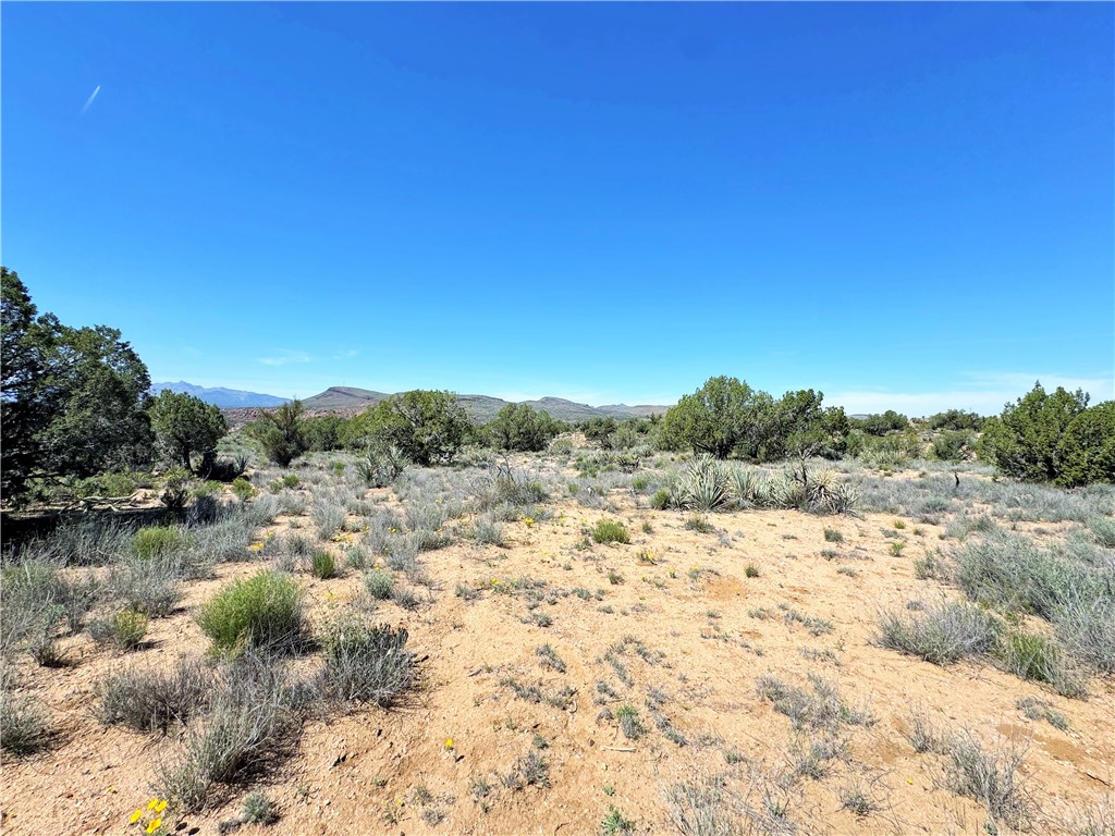 14224 East Randy Ranch Road Kingman, AZ 86401 - Photo 65 of 75 Expansive natural