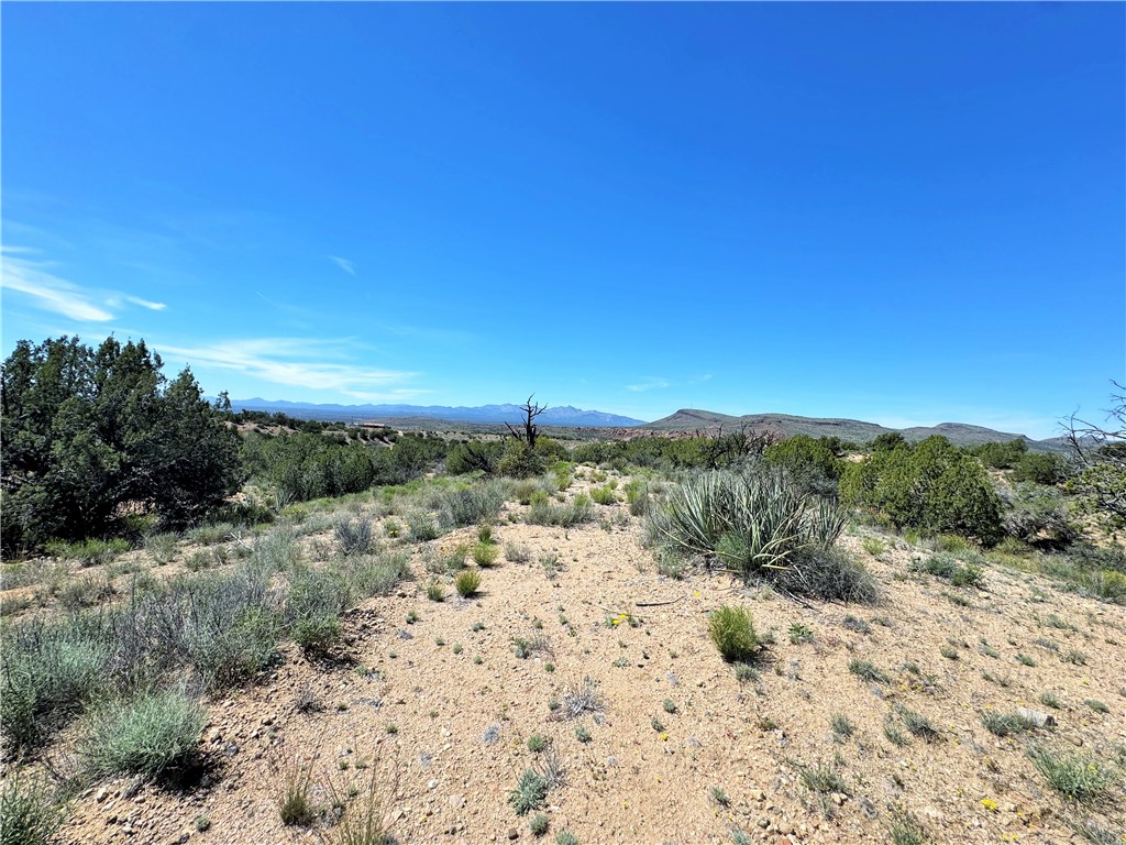 14224 East Randy Ranch Road Kingman, AZ 86401 - Photo 66 of 75 View