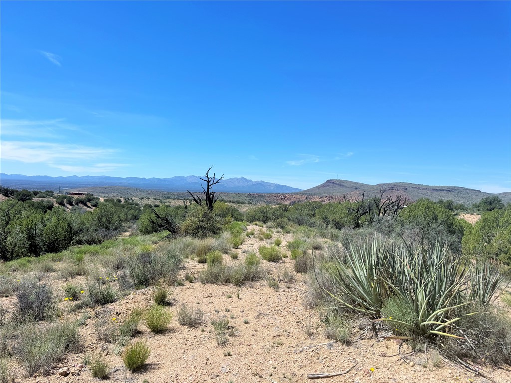 14224 East Randy Ranch Road Kingman, AZ 86401 - Photo 67 of 75 View