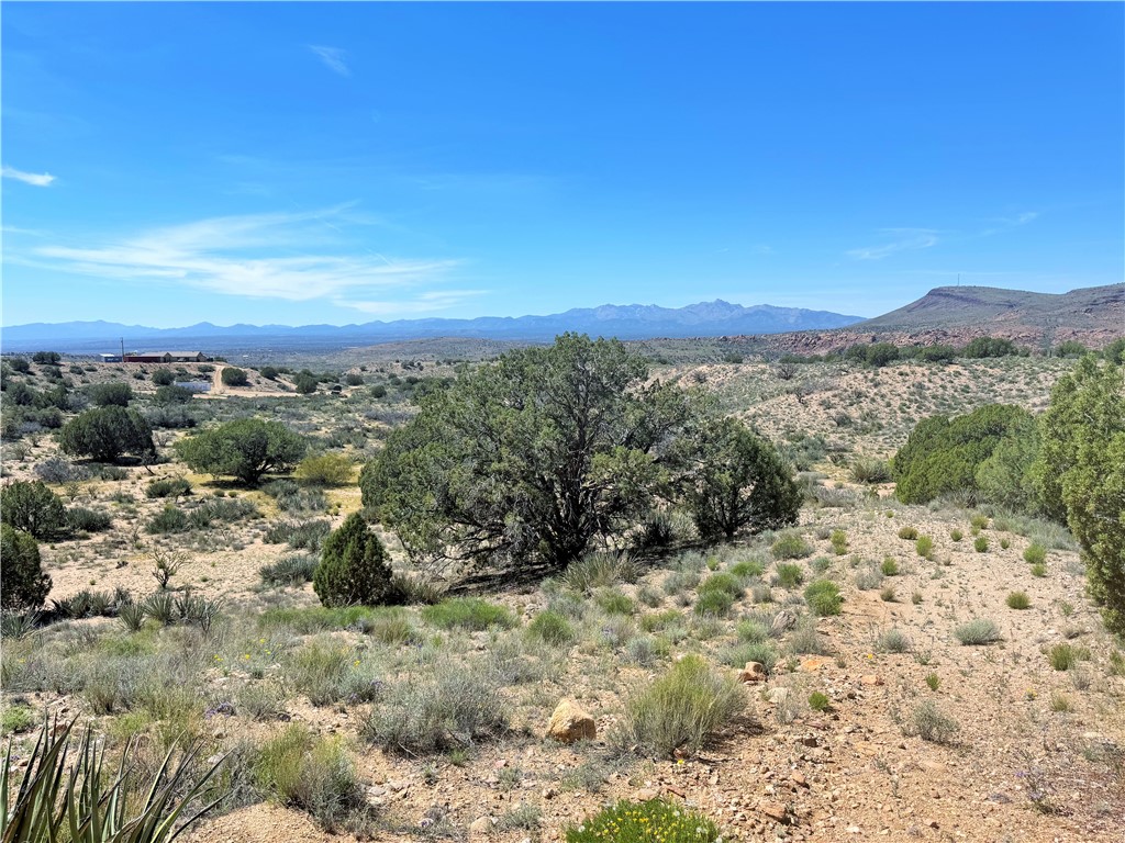 14224 East Randy Ranch Road Kingman, AZ 86401 - Photo 68 of 75 View