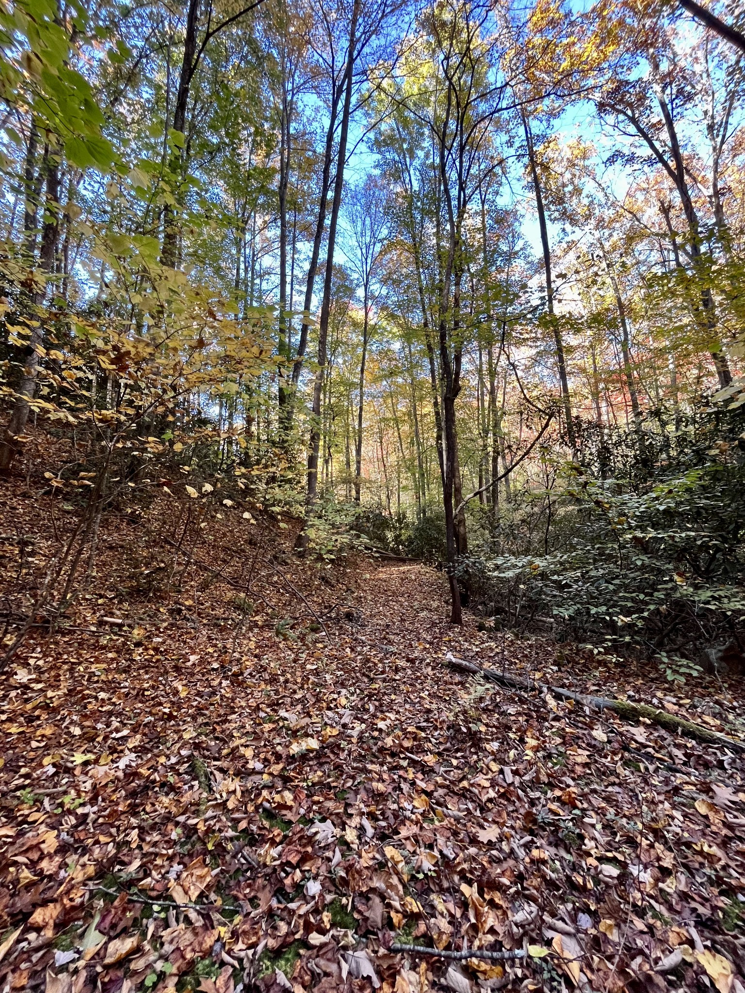 0 Marion Branch Road Elizabethton, TN 37643 - Photo 7 of 19 Gallery Image 7
