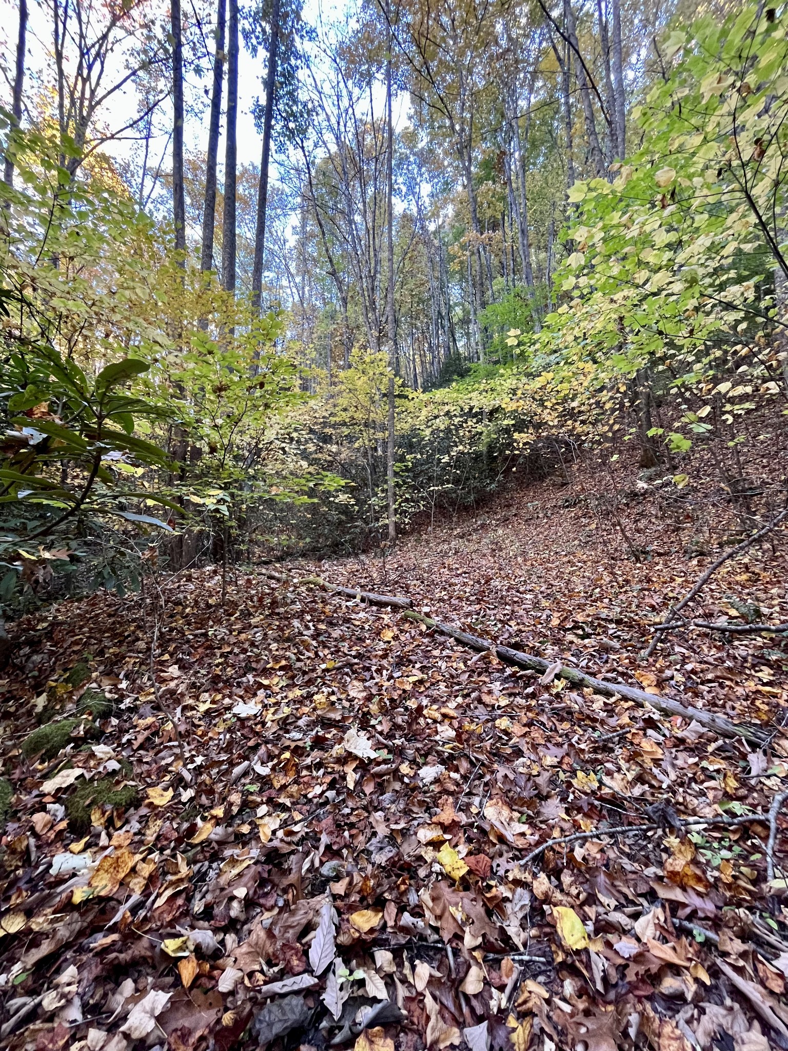 0 Marion Branch Road Elizabethton, TN 37643 - Photo 8 of 19 Gallery Image 8