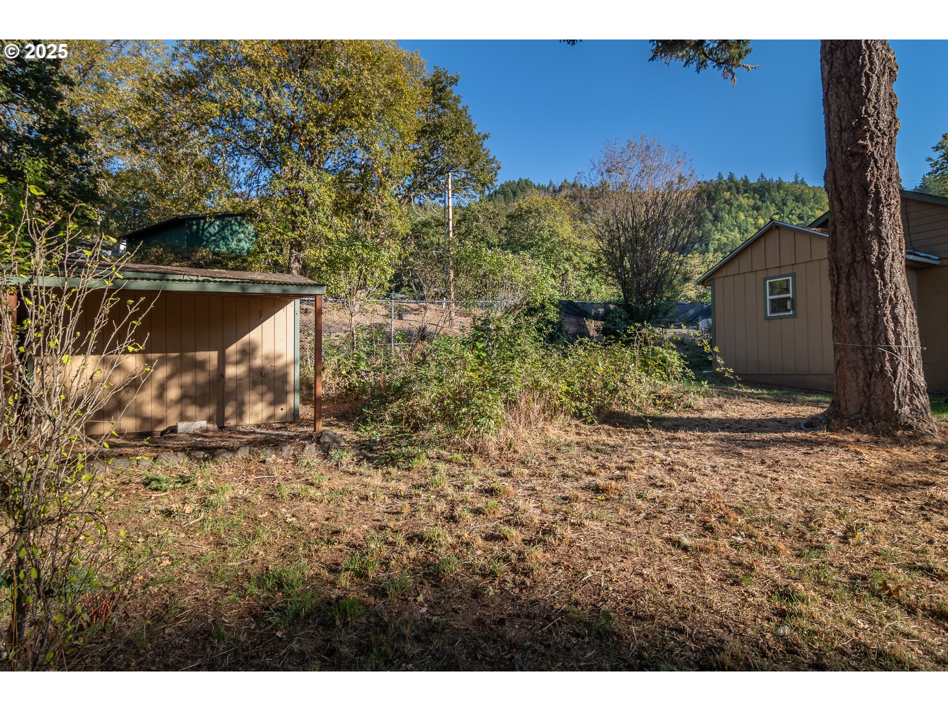 839 Union Gap Loop Oakland, OR 97462 - Photo 21 of 24 a view of outdoor space and yard