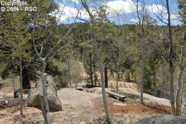 775 Cochetopa Road Florissant, CO 80816 - Photo 24 of 25 Gallery Image 24