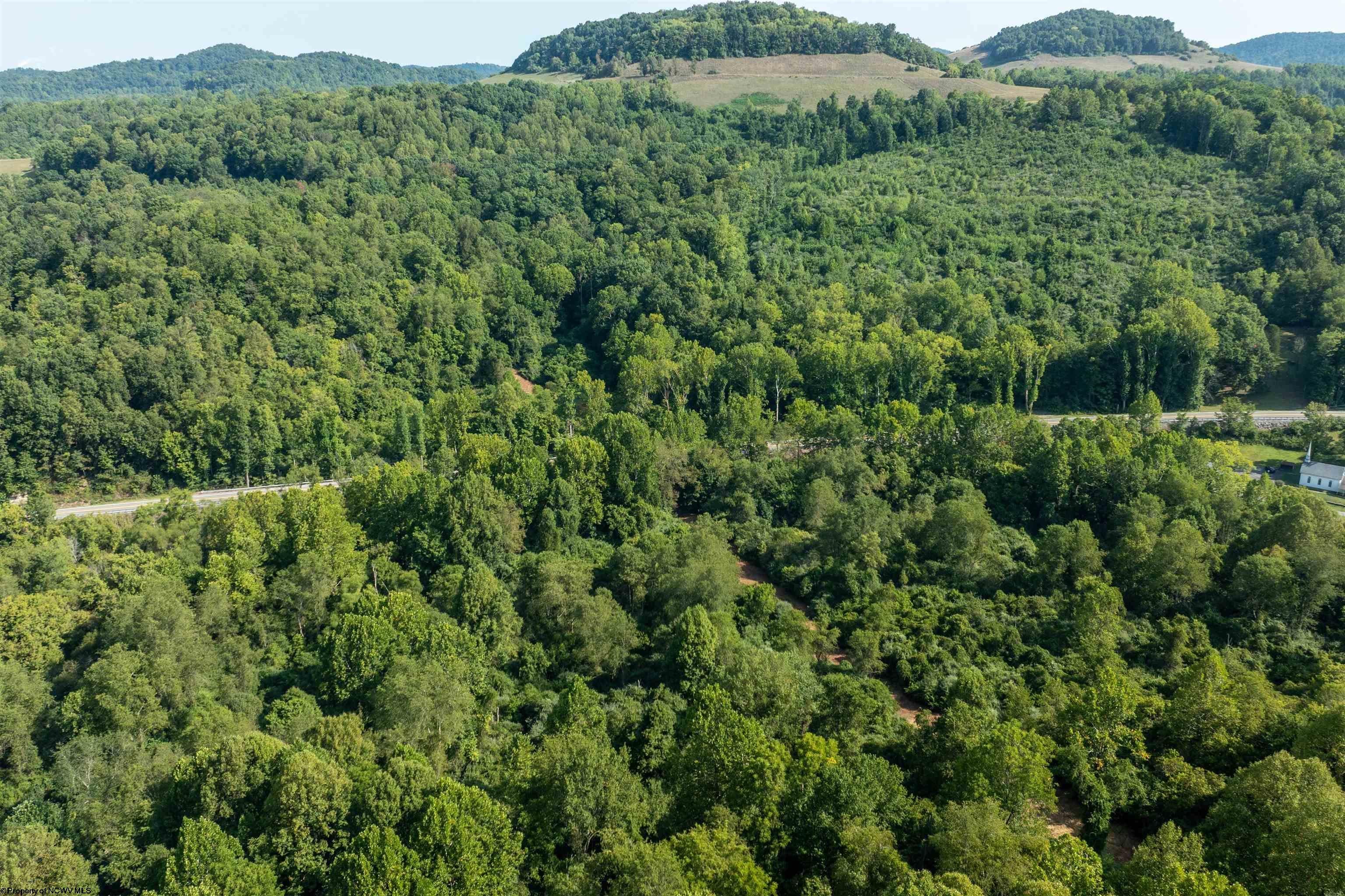 Tbd Elk Creek Road Philippi, WV 26416 - Photo 4 of 20 Gallery Image 4