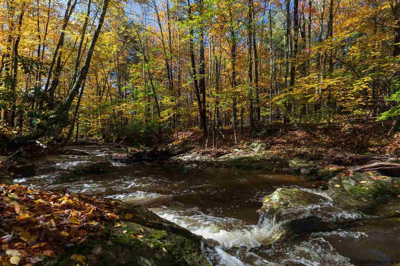 9 Clark A Road Woodbourne, NY 12788 - Photo 31 of 35 a view of forest