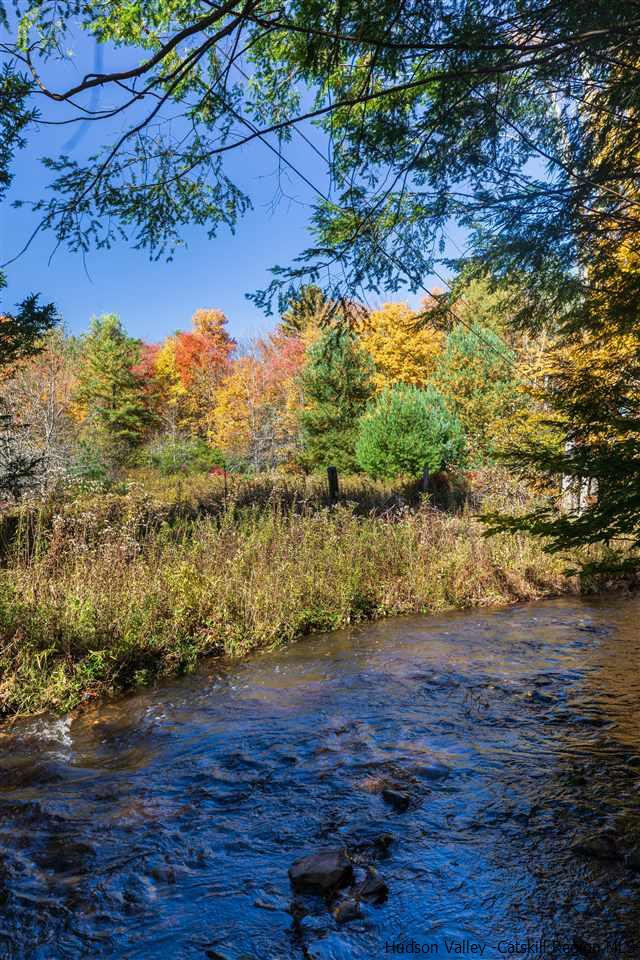 9 Clark A Road Woodbourne, NY 12788 - Photo 9 of 35 a view of a yard with an outdoor space
