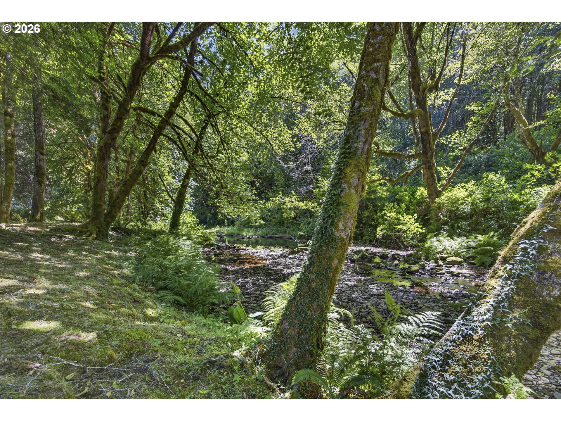 12290 Highway 126 Mapleton, OR 97453 - Photo 39 of 43 Creek