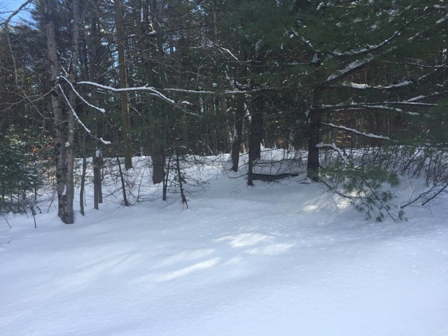 202 Town House Road Effingham, NH 03882 - Photo 2 of 13