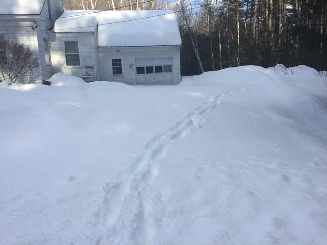 202 Town House Road Effingham, NH 03882 - Photo 4 of 13