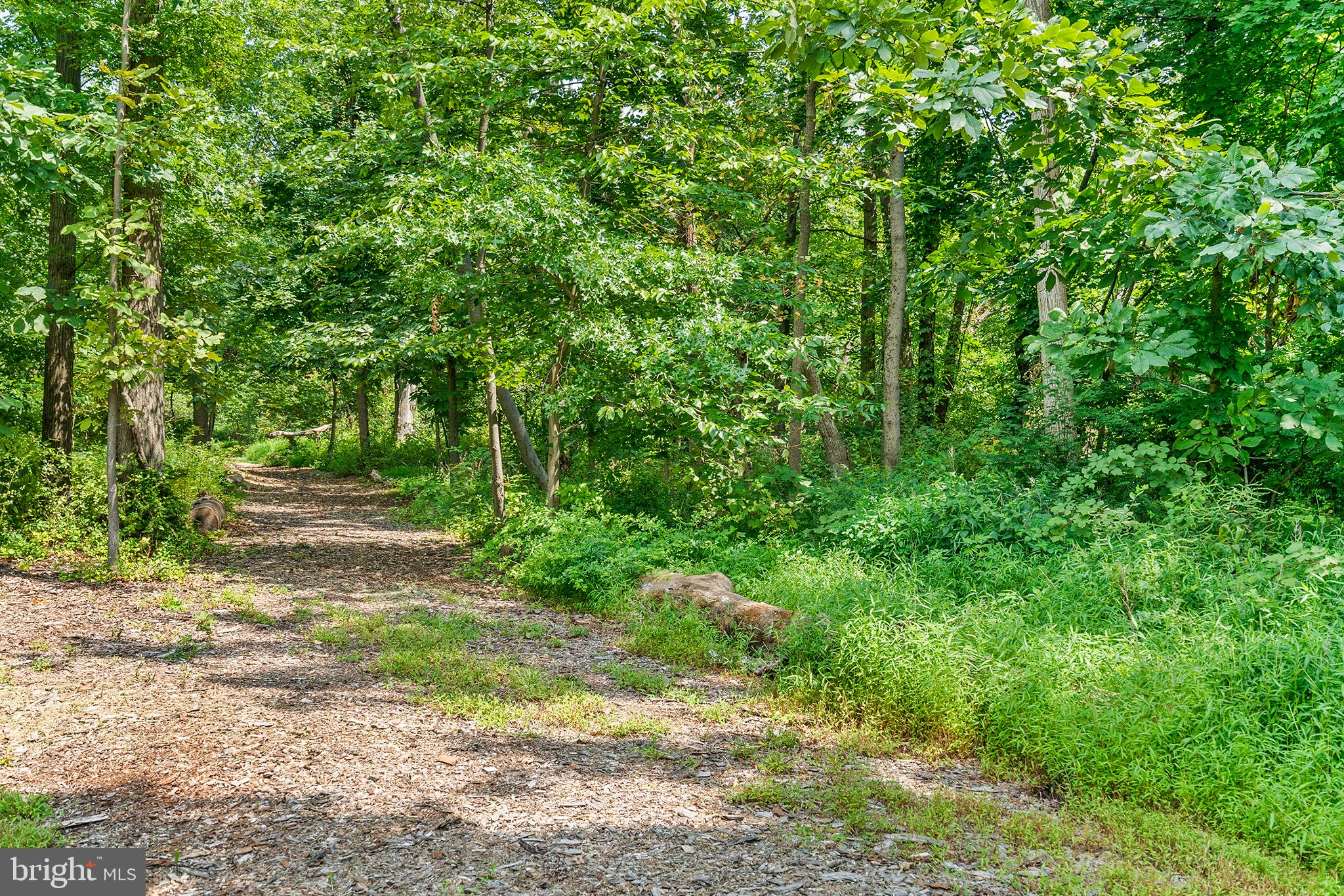 143 Barto Road Barto, PA 19504 - Photo 13 of 37 a view of backyard with green space