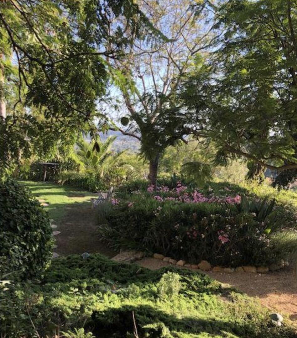 3756 Foothill Road Santa Barbara, CA 93105 - Photo 55 of 70 Gardens