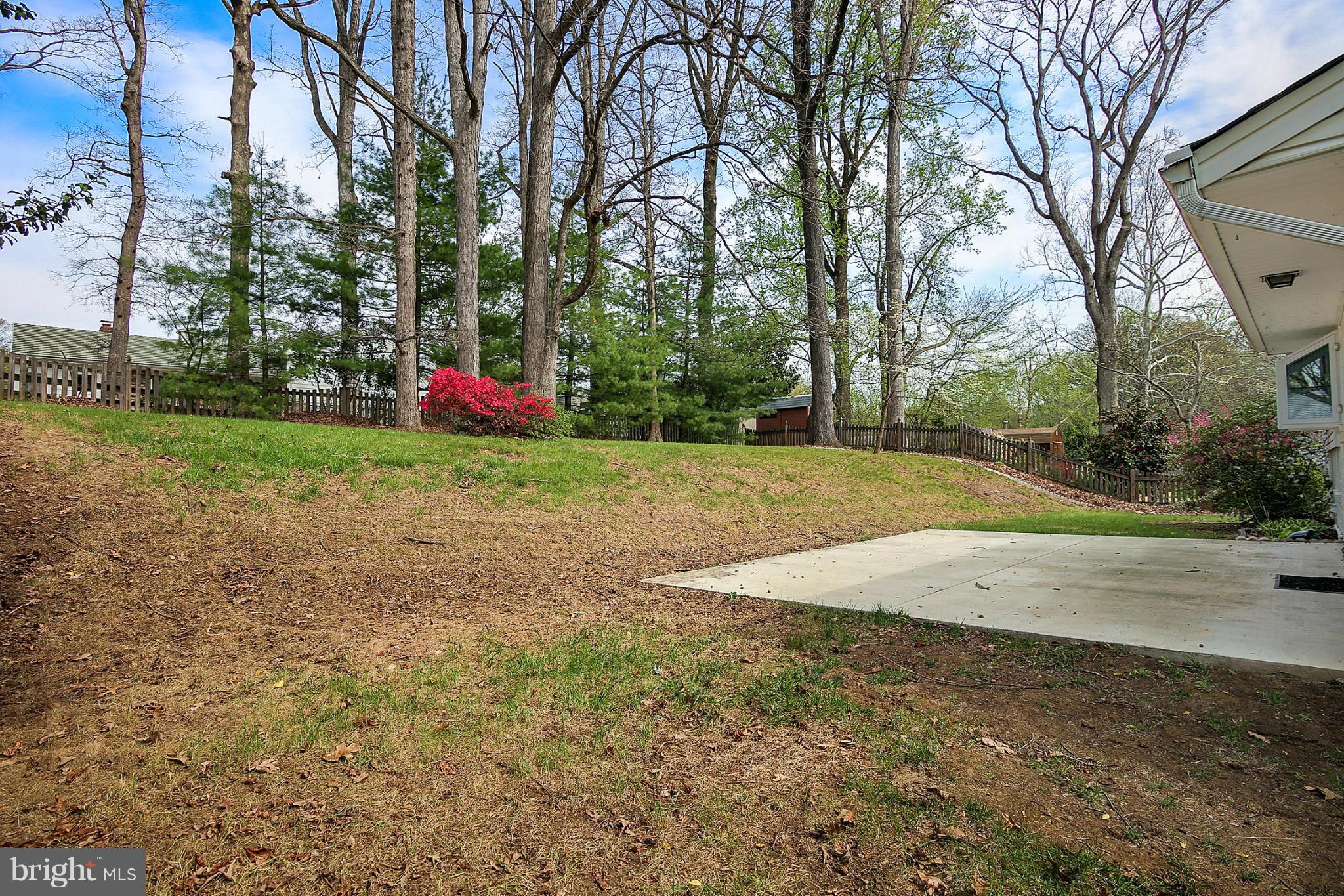 5305 Ravensworth Road Springfield, VA 22151 - Photo 27 of 30 Exterior (Rear)