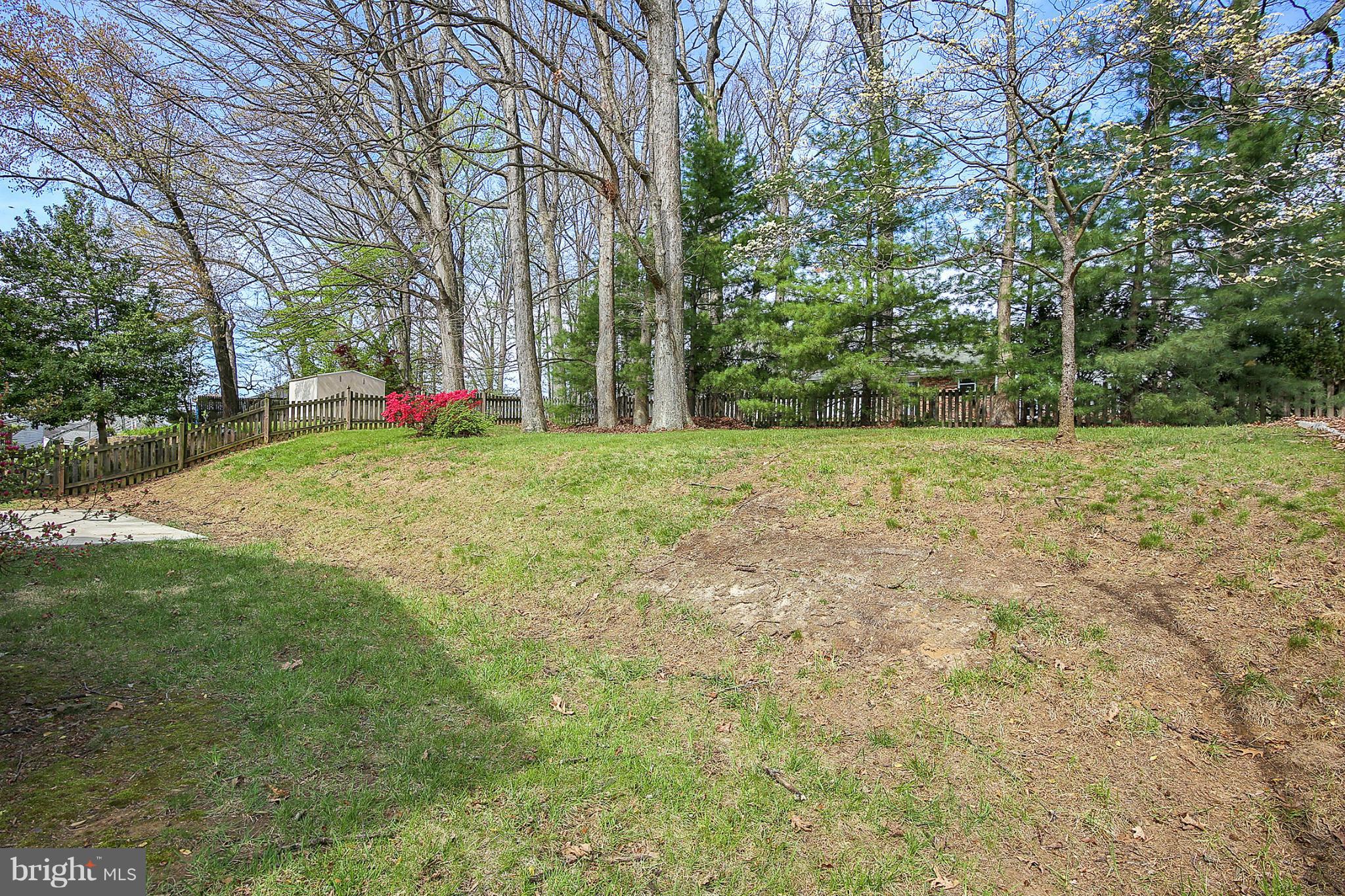 5305 Ravensworth Road Springfield, VA 22151 - Photo 30 of 30 Exterior (Rear)