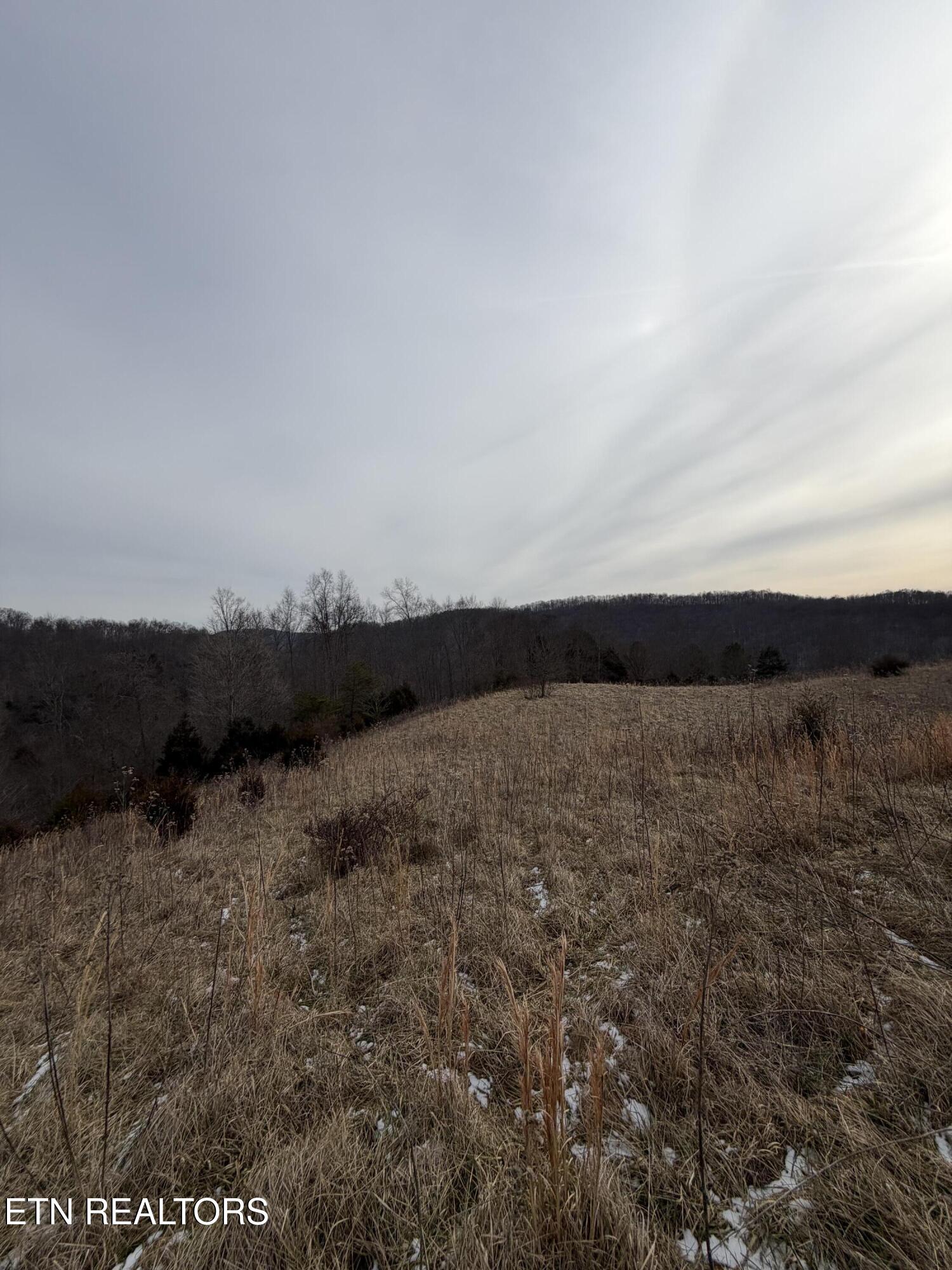 Tbd Russell Ridge Road Speedwell, TN 37870 - Photo 12 of 19 IMG_0212