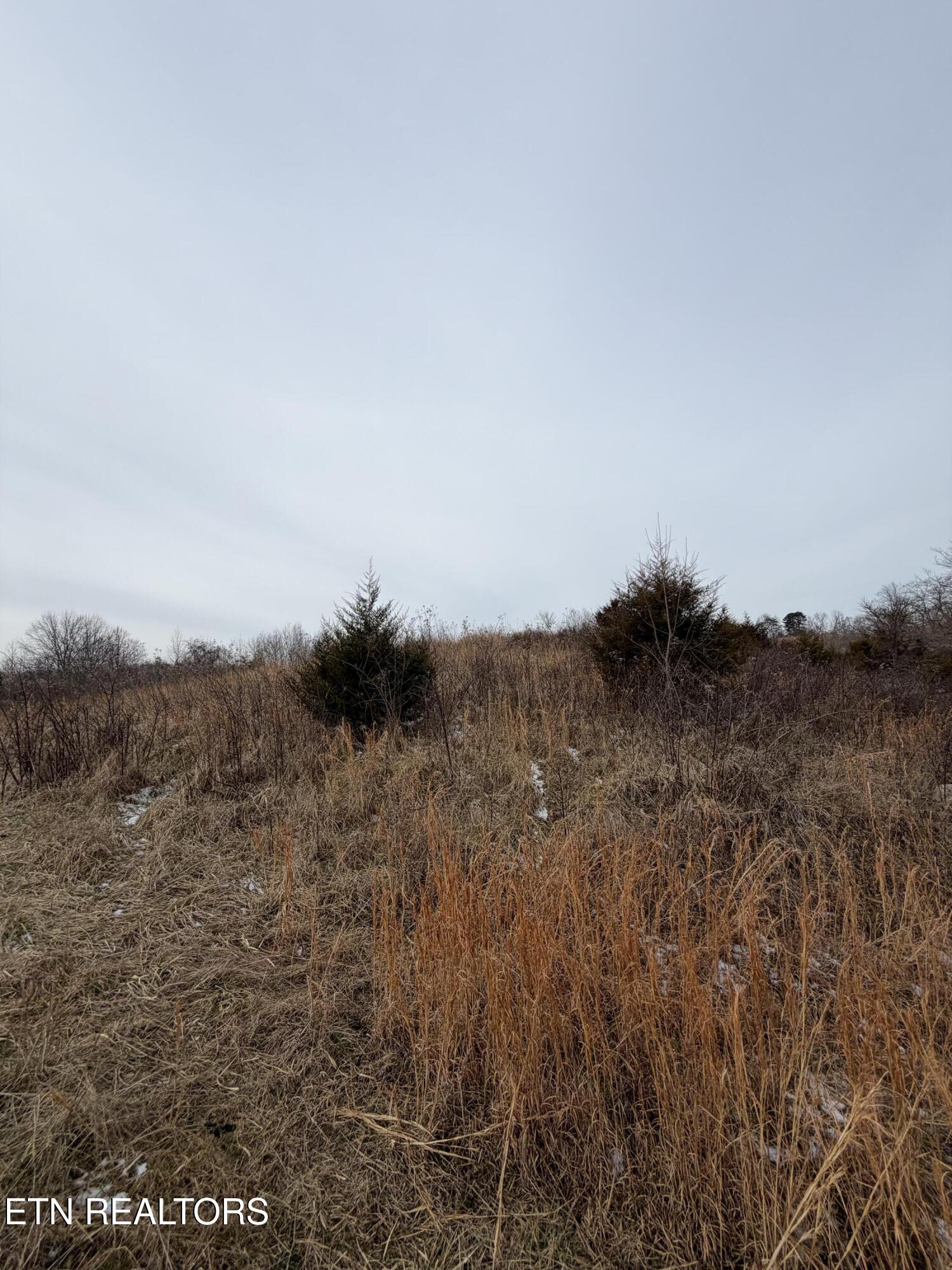 Tbd Russell Ridge Road Speedwell, TN 37870 - Photo 15 of 19 IMG_0209