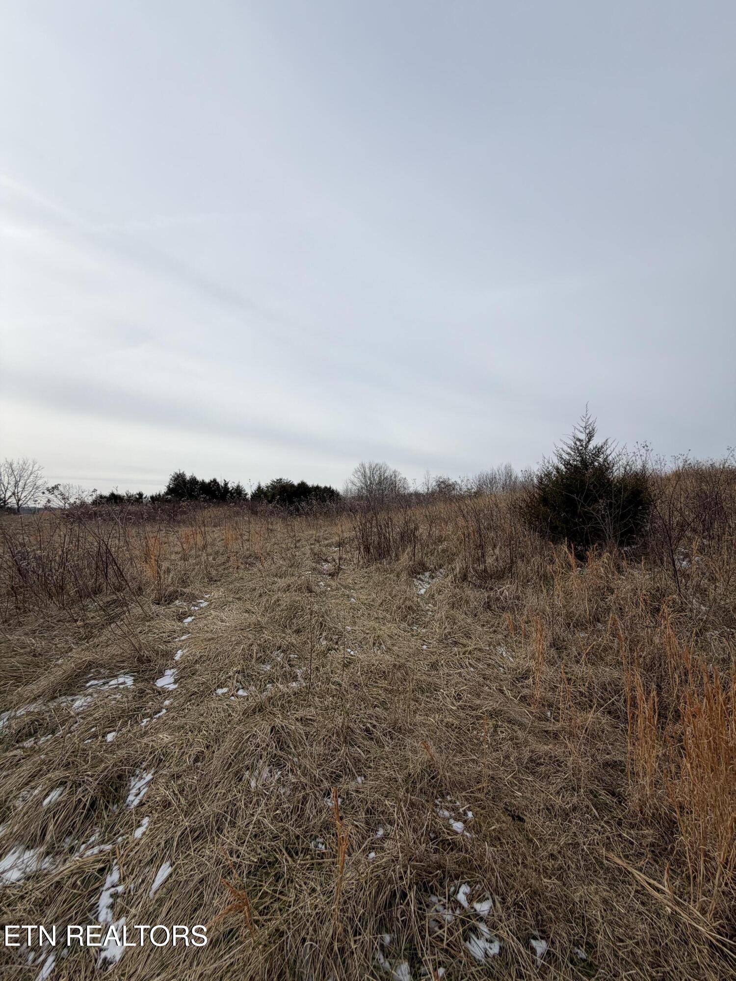 Tbd Russell Ridge Road Speedwell, TN 37870 - Photo 16 of 19 IMG_0208