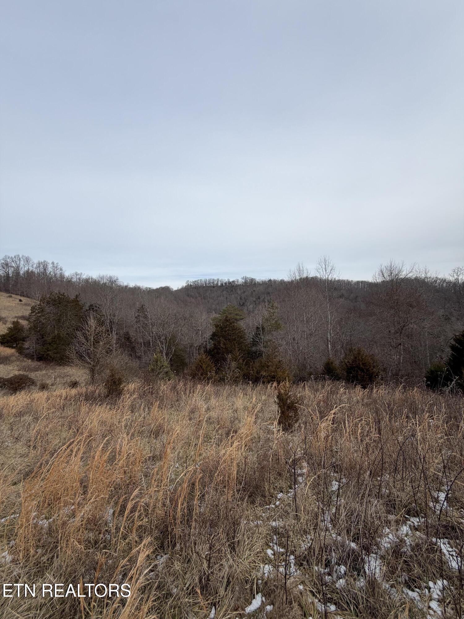 Tbd Russell Ridge Road Speedwell, TN 37870 - Photo 19 of 19 IMG_0205